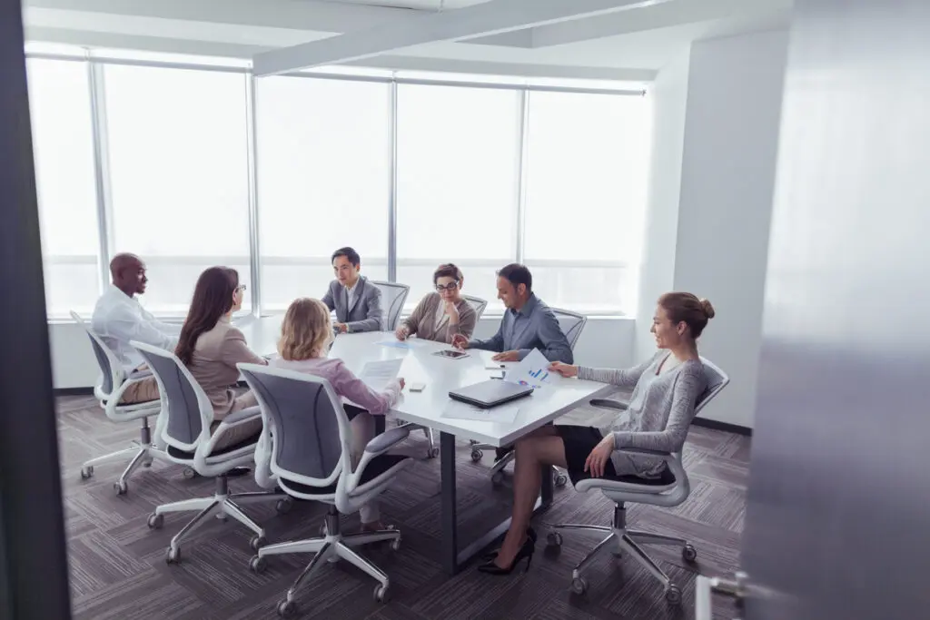 Professionals in a meeting